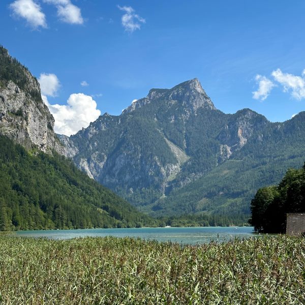 A Leopoldsteinersee nádas partja hegyekkel, Eisenerz mellett, Ausztria