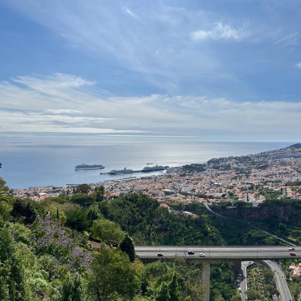 Kilátás Funchalra és az óceánra a hegyoldalból, Madeira