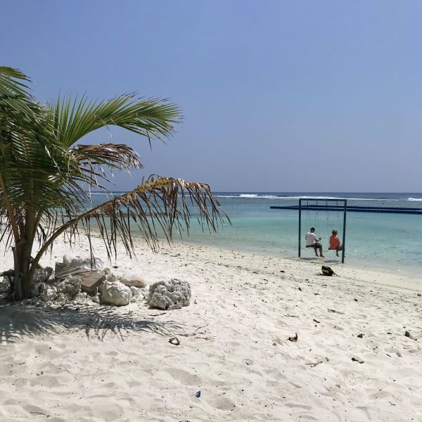 Hinta a fehér homokos strandon pálmafával, Hulhumalé, Maldív-szigetek