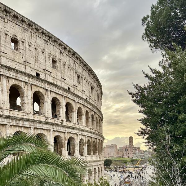 A Colosseum íves falai pálmafák között, Róma