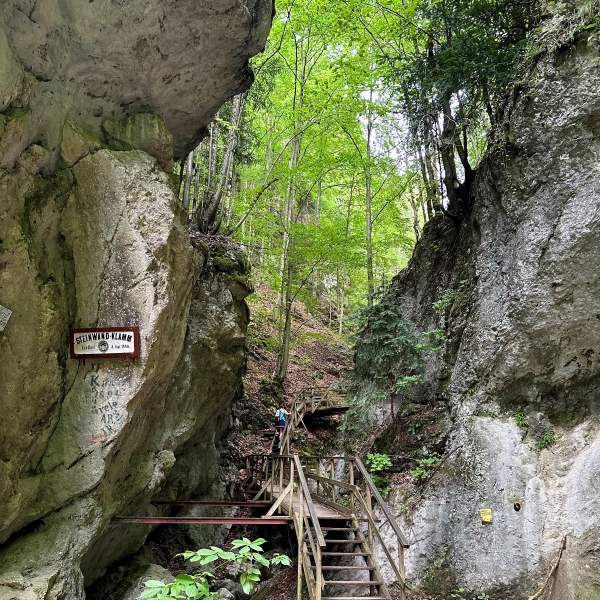 Fa lépcső a sziklafalak között a Steinwandklamm bejáratánál, Ausztria