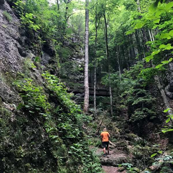 Túrázó a Steinwandklamm erdős ösvényén, Ausztria