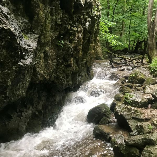 Zúgó patak a sziklák között a Szádelői-völgyben, Szlovákia